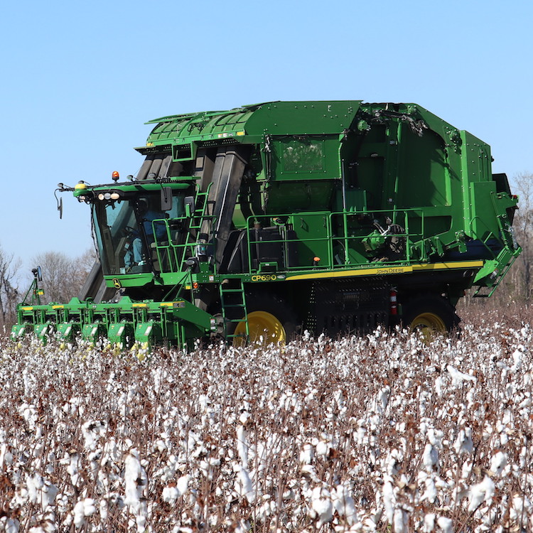 Rain pushes '18 cotton harvest into '19